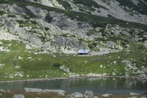 449282881_786254346987411_3467054353451411504_n