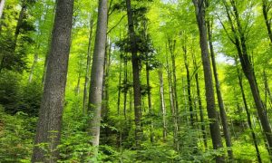 518272661_1179365534220737_4090144059909476835_n-1000x600