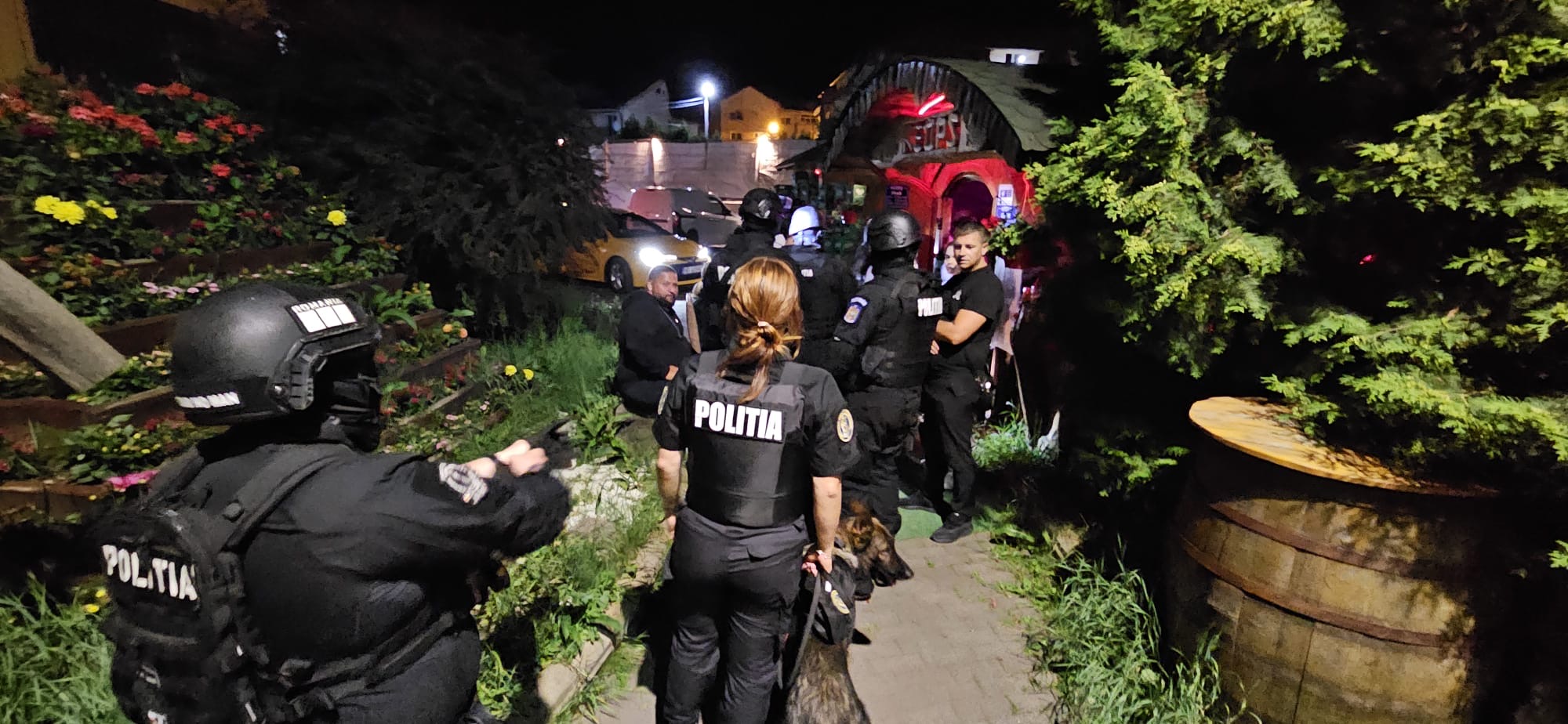 5af1b65a-e726-4878-8194-4d807b21cec0