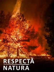 c7caf525-1005-477d-a899-1389220d0655