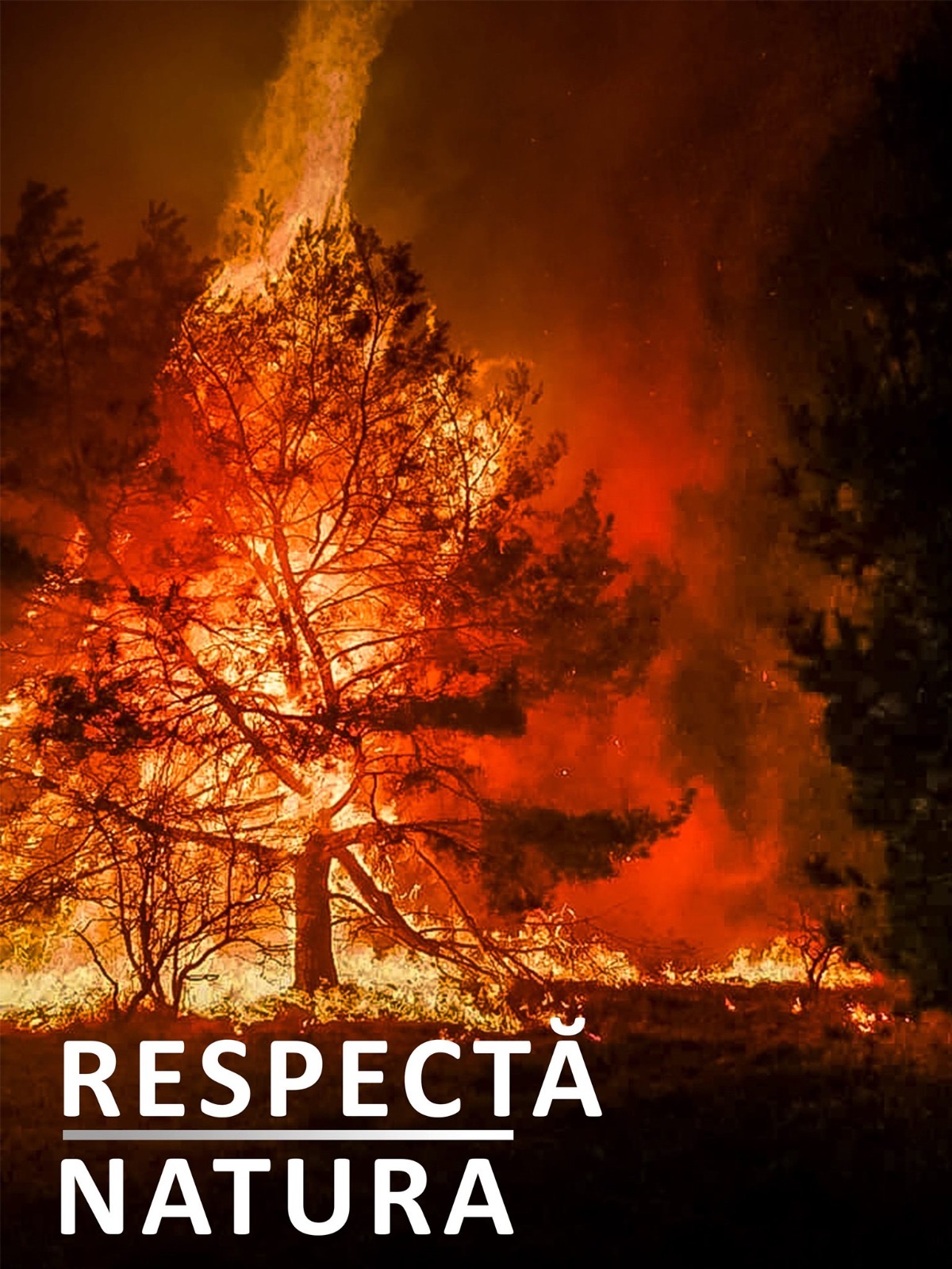 c7caf525-1005-477d-a899-1389220d0655