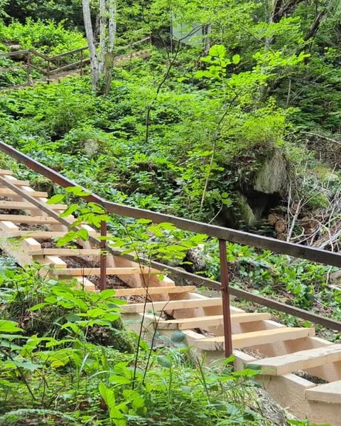 528022053_1195540742603216_836984281836976310_n