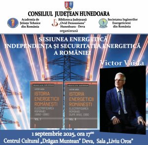 Afis Victor Vaida 2025