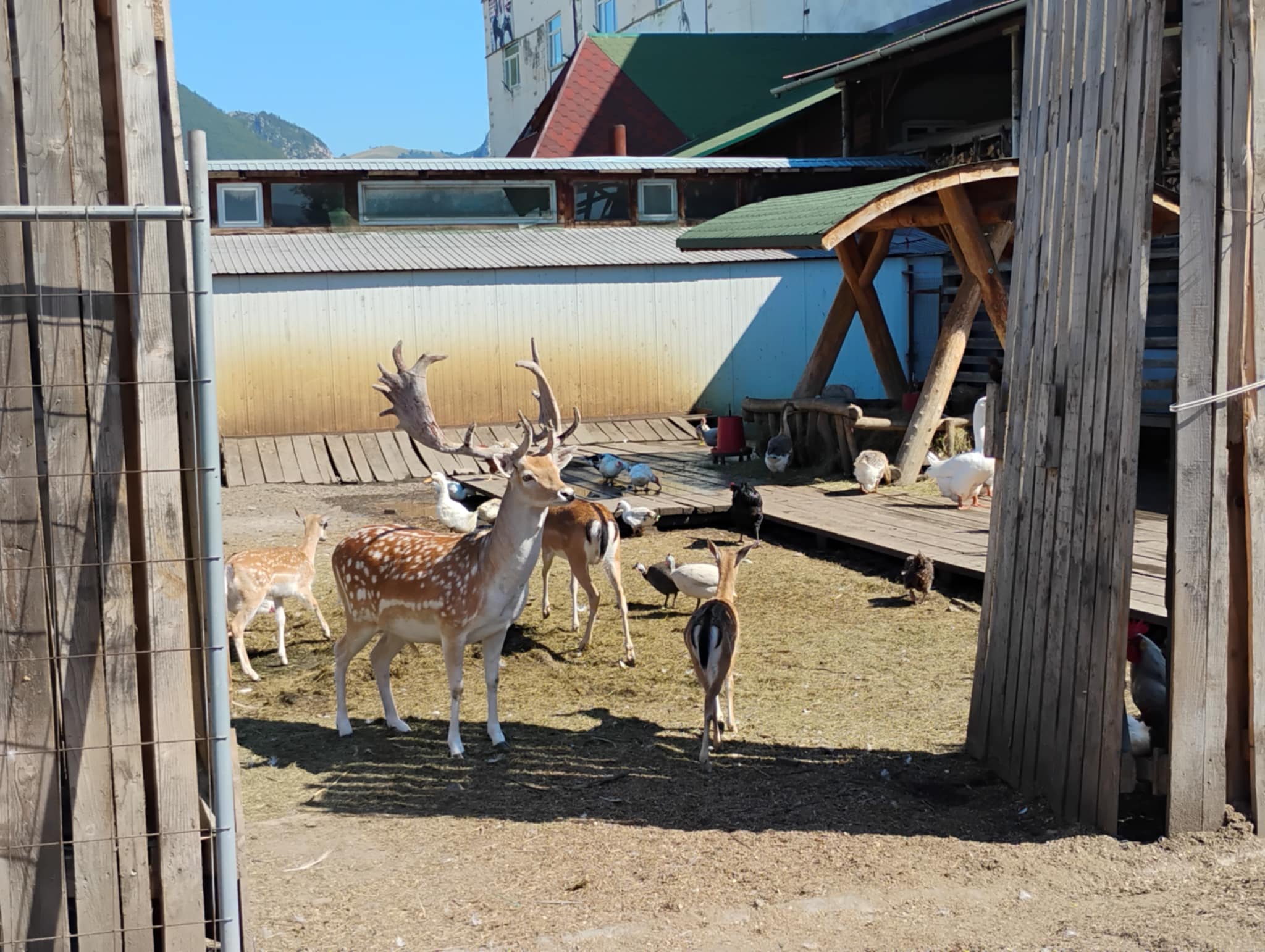 att.tC6s7HjFU2EALBDD6rsNX9p5sxSB0tLwYIGCJyoGLM0