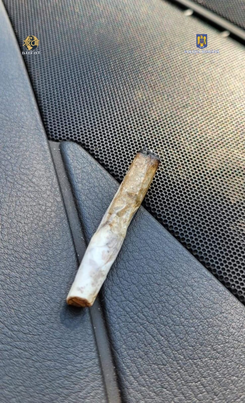 d77599d2-abed-4754-8ffa-73255b997613