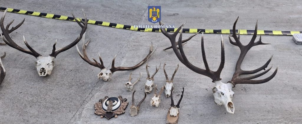 c210b670-9dab-4350-9541-45327c811b50