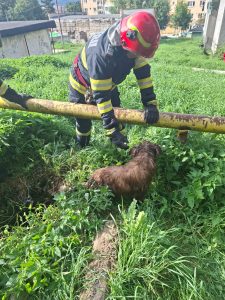 e0ce1edd-aed6-4620-96f5-210e356f9491