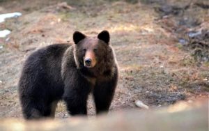 ezgif-2bc7c0ec9011e7