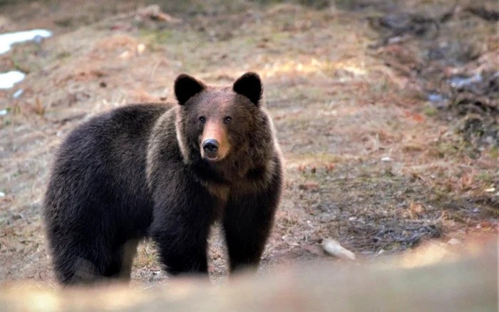 ezgif-2bc7c0ec9011e7