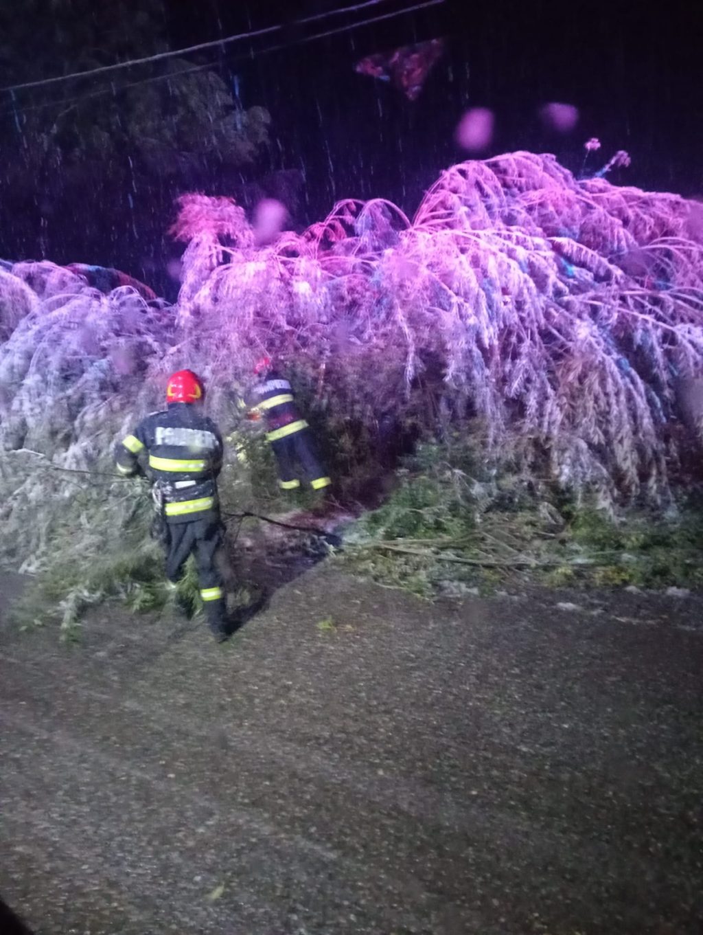 0ab456d1-c275-4c26-970c-5a4ac4def106