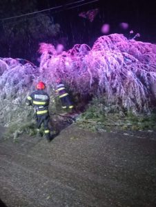 0ab456d1-c275-4c26-970c-5a4ac4def106