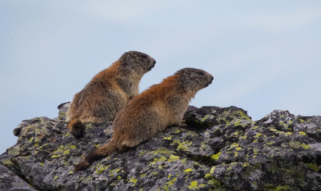 518304772_30652975607649658_7219304299149273699_n