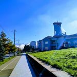 Contract de 13,7 milioane de lei pentru curățenia stradală din Vulcan