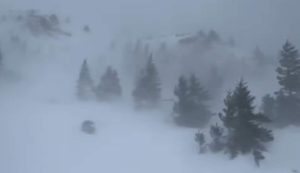 98b02d21-61b4-4d57-88c2-8129141a29bb