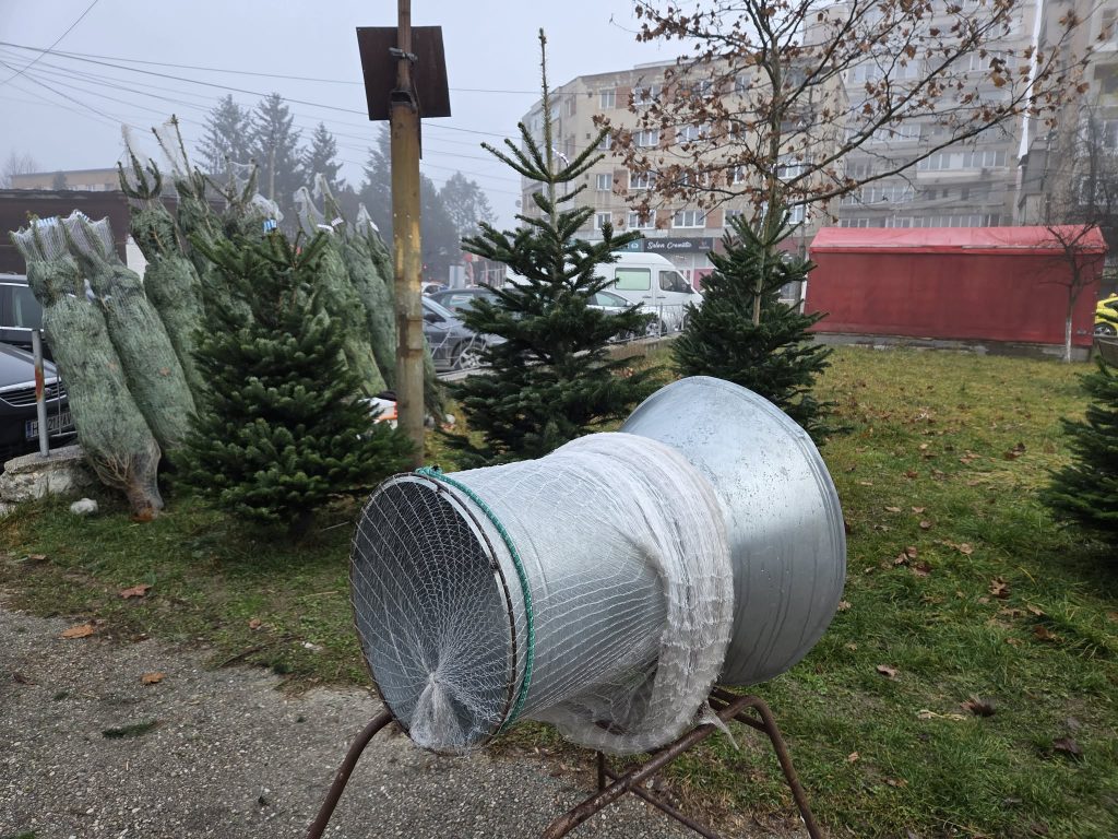 att.lCJdyGQpHnksLHXOUz0JzYCbGoWpDdNDtOlevr6gnCw