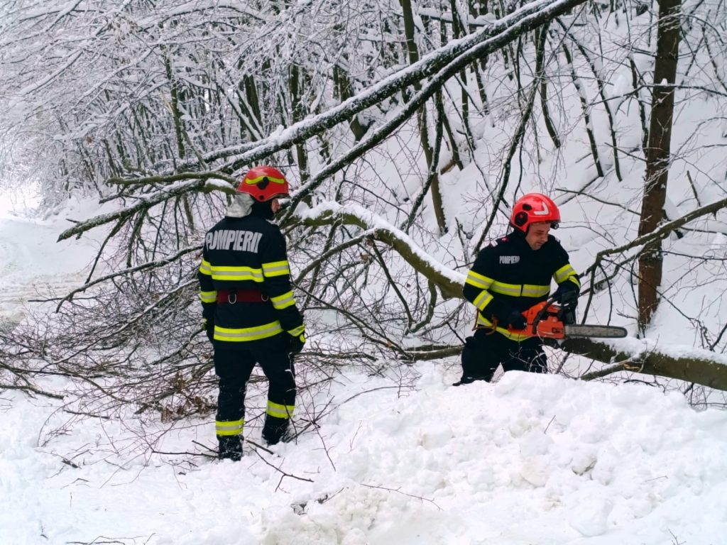 3dbcd0f0-7037-4fbf-b670-fe7394d716e9