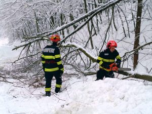 3dbcd0f0-7037-4fbf-b670-fe7394d716e9