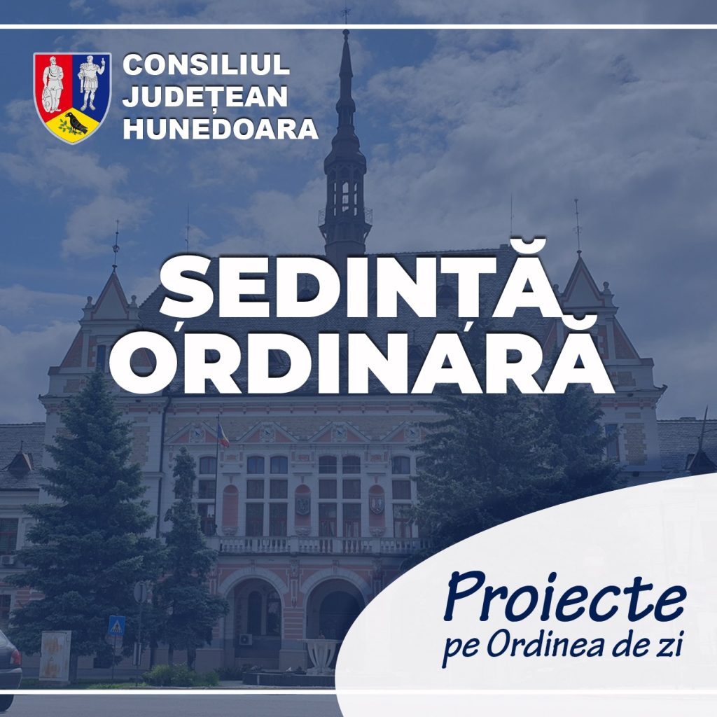 sedintaordinara