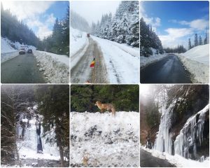 628195864_1212820287606196_6512588651446262845_n