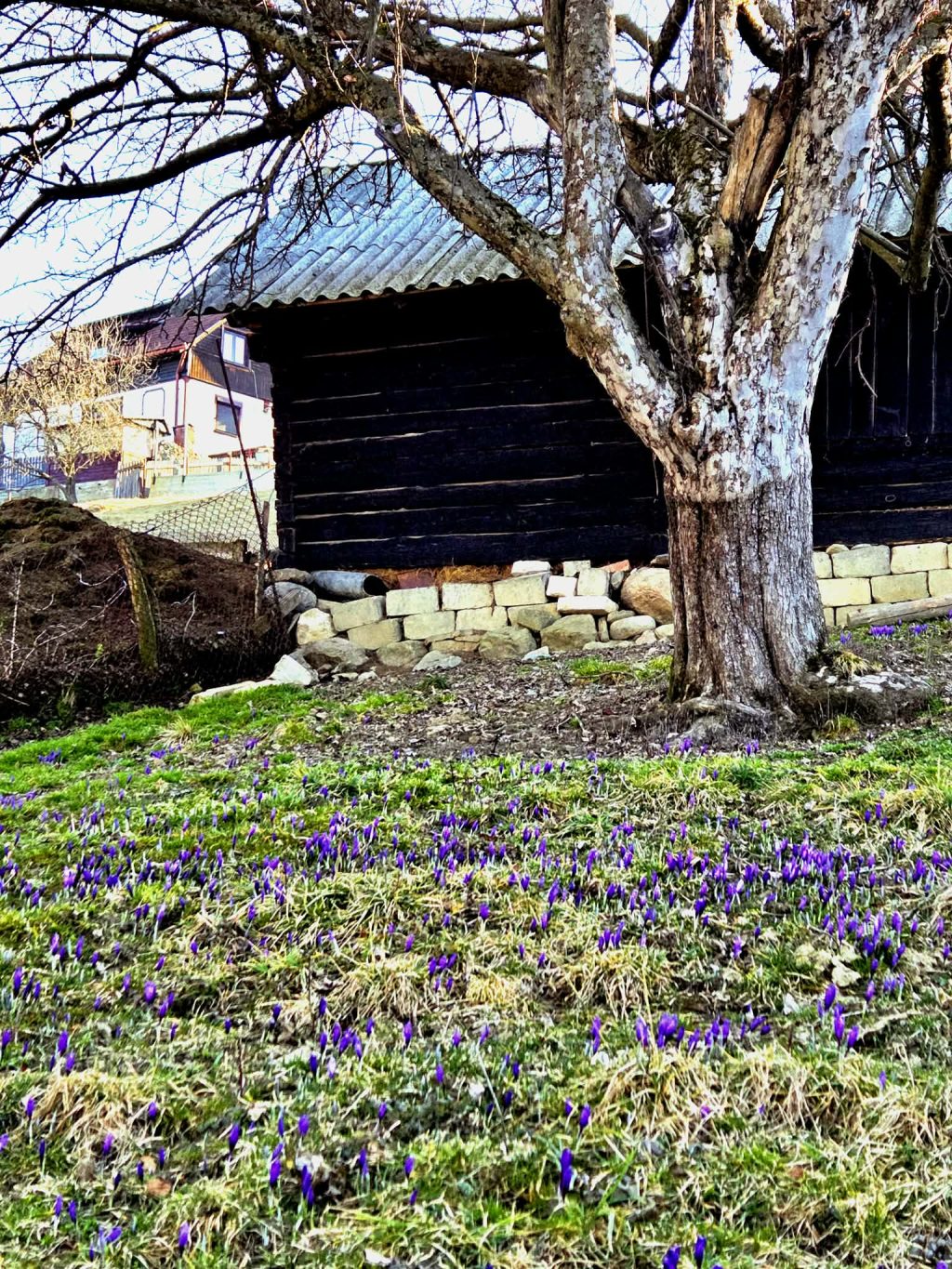 att.shfM1_76KO_SeKpUtgE4G5JhvebG8_N02zwd4E5NpoA