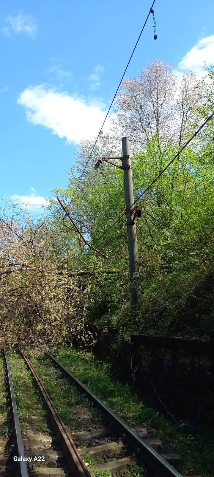 1215605f-c5ec-4963-9d9b-b0474364b8e8