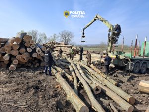 5ef6ec12-b762-458c-a88d-9a3759233198