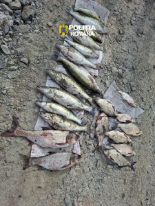 686d0d38-a1a7-4b92-bcab-37ee6df74cba