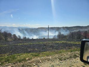 8ed5bb59-131c-493e-91d4-8e206eae893a