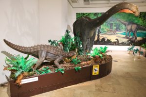 Váncsa Klára - Muzeul 'Munkácsy Mihály', Békéscsaba_IMG_3970