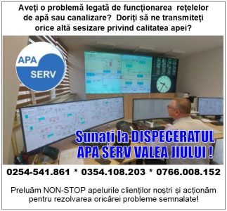 dispecerat-apa-serv-323x300