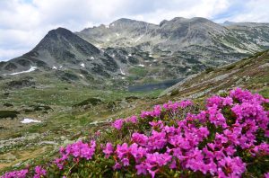 IMG_6865