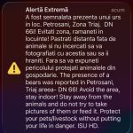 ALERTĂ EXTREMĂ LA PETROȘANI: Urs semnalat în zona Triaj, pe DN66