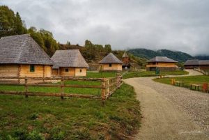 IMG_7101