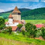 Albinele au INTERZIS într-o comună hunedoreană