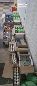 f0e6990c-6cc6-47ea-9791-2e0a4c8b8a92