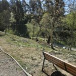 Universitatea Petroșani construiește un amfiteatru în aer liber