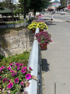 IMG_7392