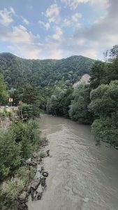 IMG_7743