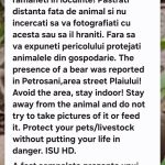 RO-ALERT la Petroșani: Urs semnalat din nou pe strada Plaiului.