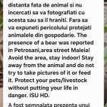 RO-ALERT după apariția unui urs în zona Maleia