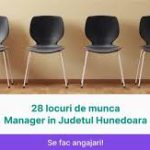 Se caută funcționari și manageri în Hunedoara. Cum se împart posturile scoase la concurs în județ