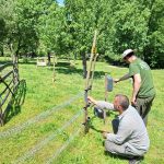 Garduri electrice la stânele din Munții Șureanu. Protecție pentru fermieri și carnivorele mari