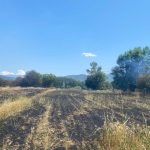 Patru incendii de vegetație uscată în doar câteva ore în județul Hunedoara. Patru hectare de teren și o cultură agricolă au ars la Baru