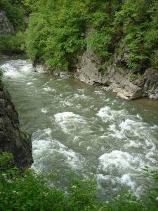 IMG_8196