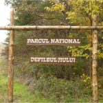 Valea Jiului, întâlnire cu lumea ascunsă a liliecilor. Experiențe unice la Noaptea Internațională a Liliecilor