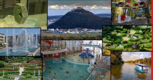 images (1)