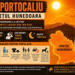 Comitetul Județean pentru Situații de Urgență Hunedoara a activat Centrul Județean de Coordonare și Conducere a Intervenției pe durata avertizării meteorologice Cod Portocaliu