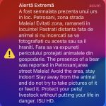 Urs semnalat în zona Maleia. Autoritățile le cer oamenilor să evite zona