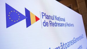 IMG_8289