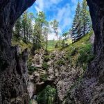 Scocul Urzicarului, giuvaierul sălbatic ascuns de privirilegrăbite